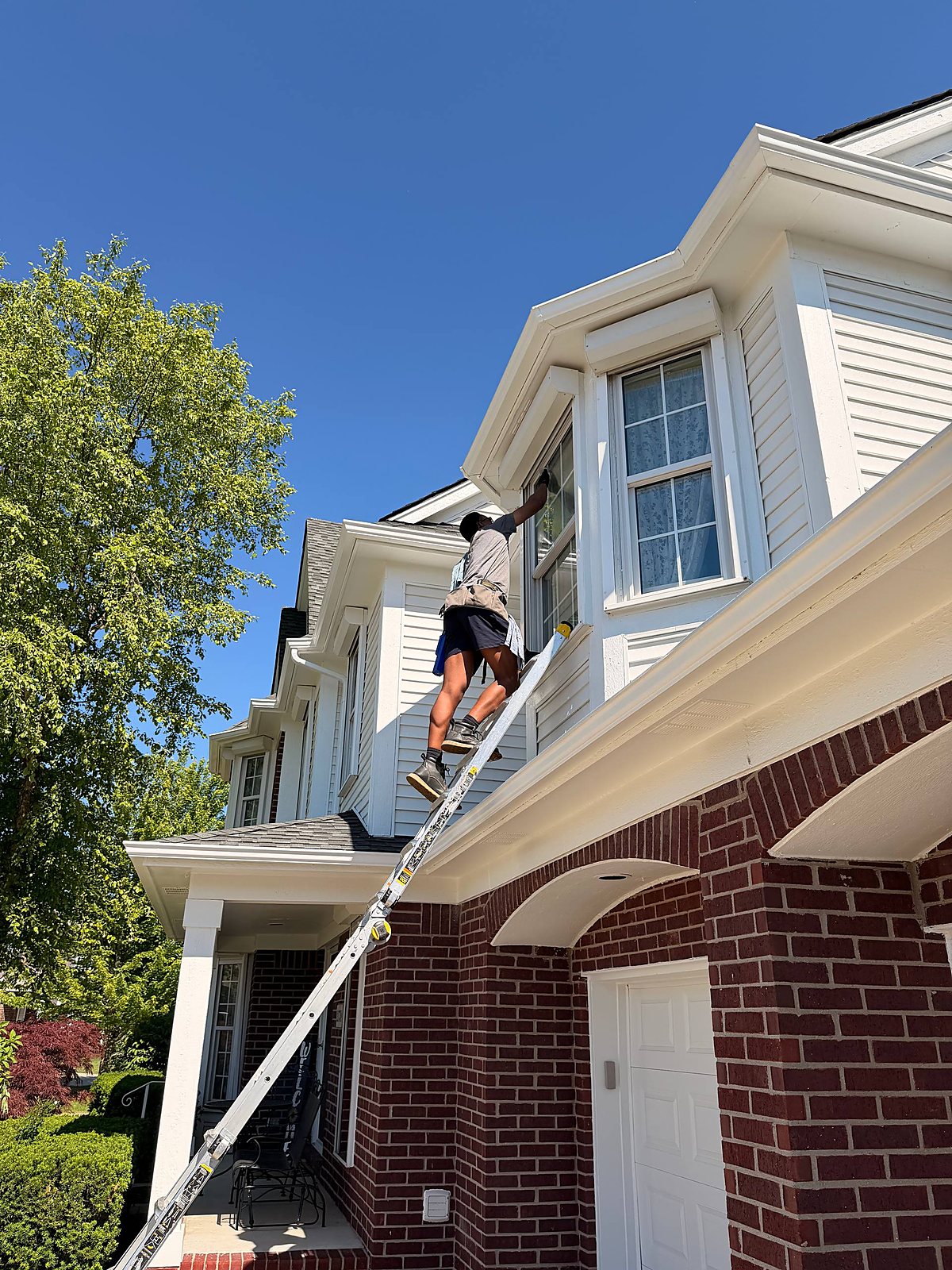 action window ladder 01