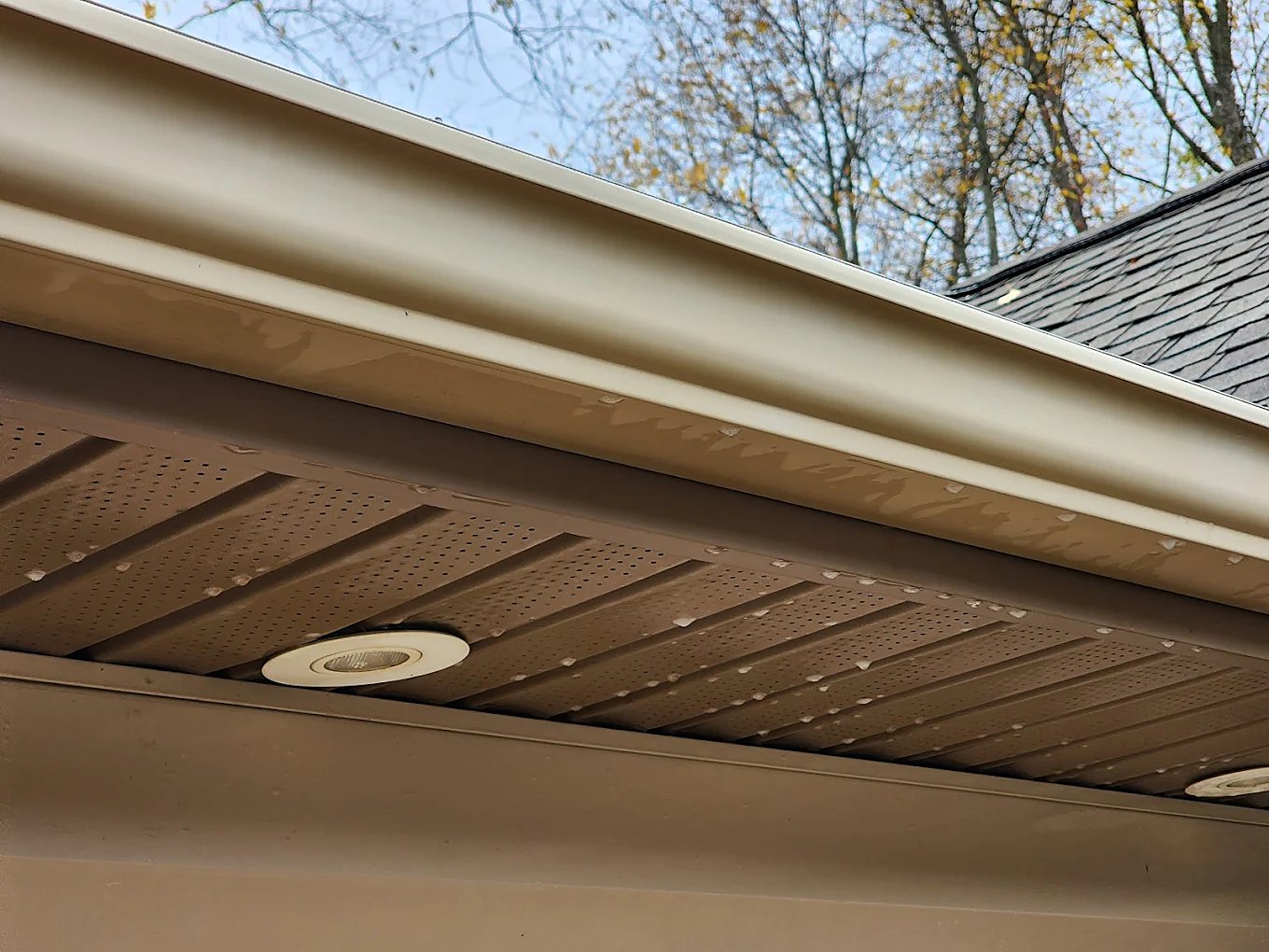 Gutters cleaned out in Metro Detroit