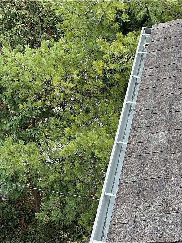 gutter clean pines 01