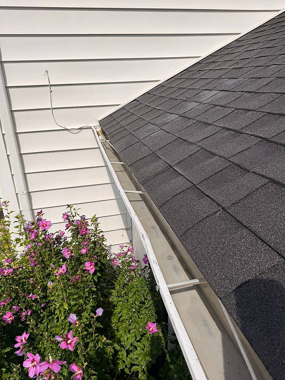 Clean gutter along cream siding above the flower beds in Utica