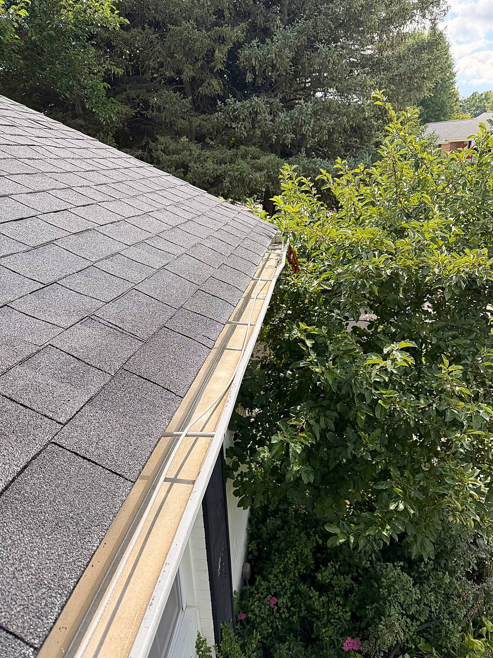 Gutter cleaned out under the treeline at a Macomb County home