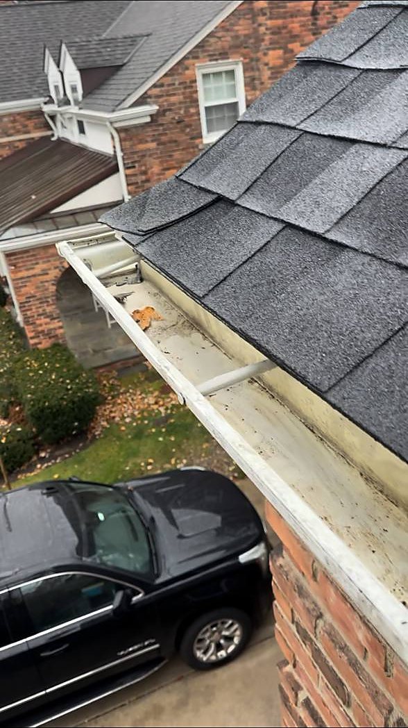 gutter roofline 01