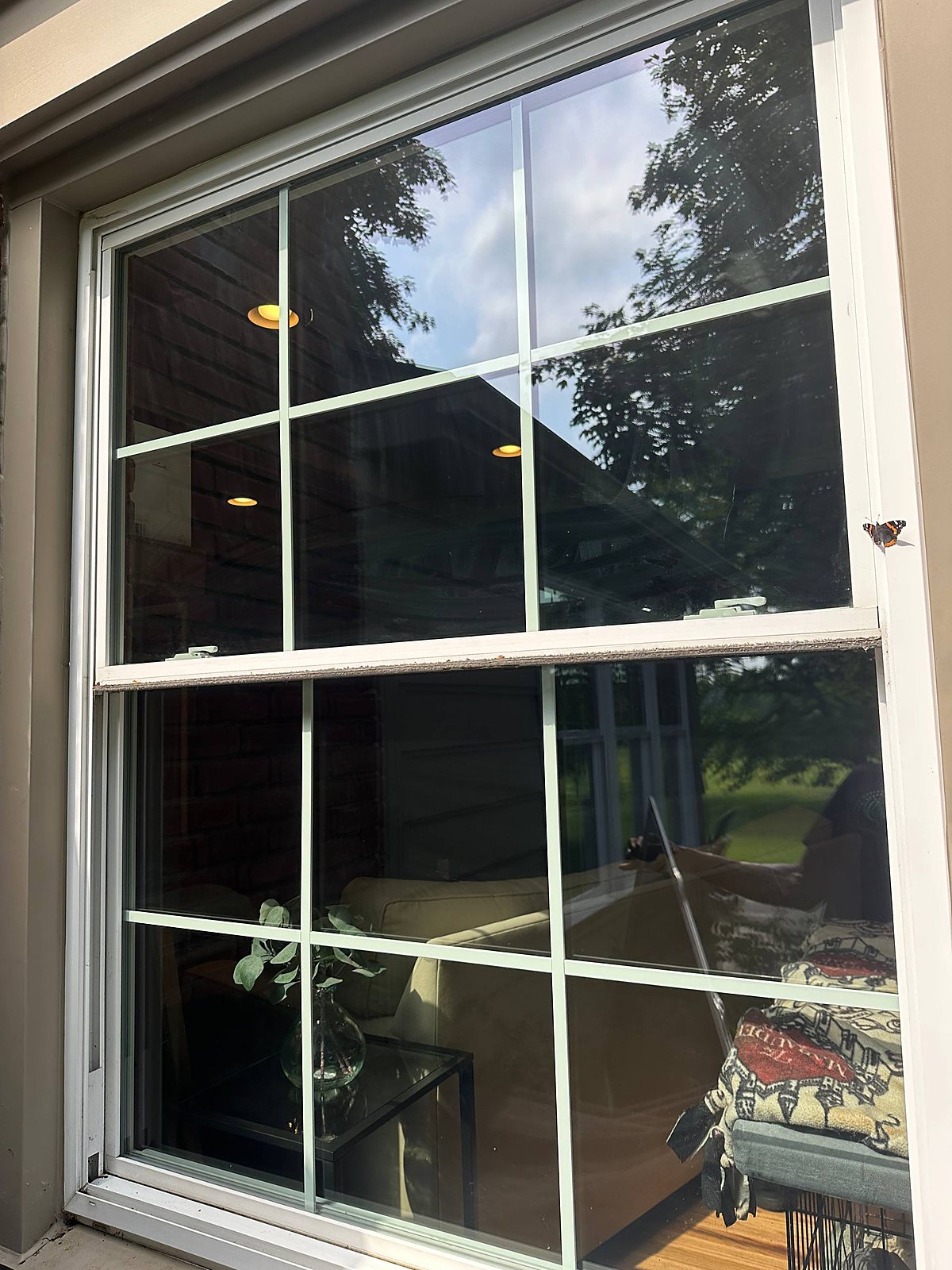 Windows cleaned clear in Metro Detroit